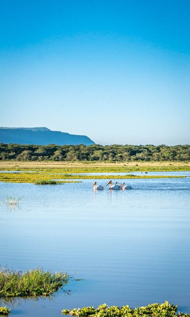 Lake Manyara